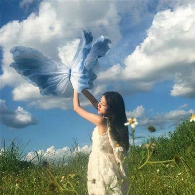 做一只鸟真不容易